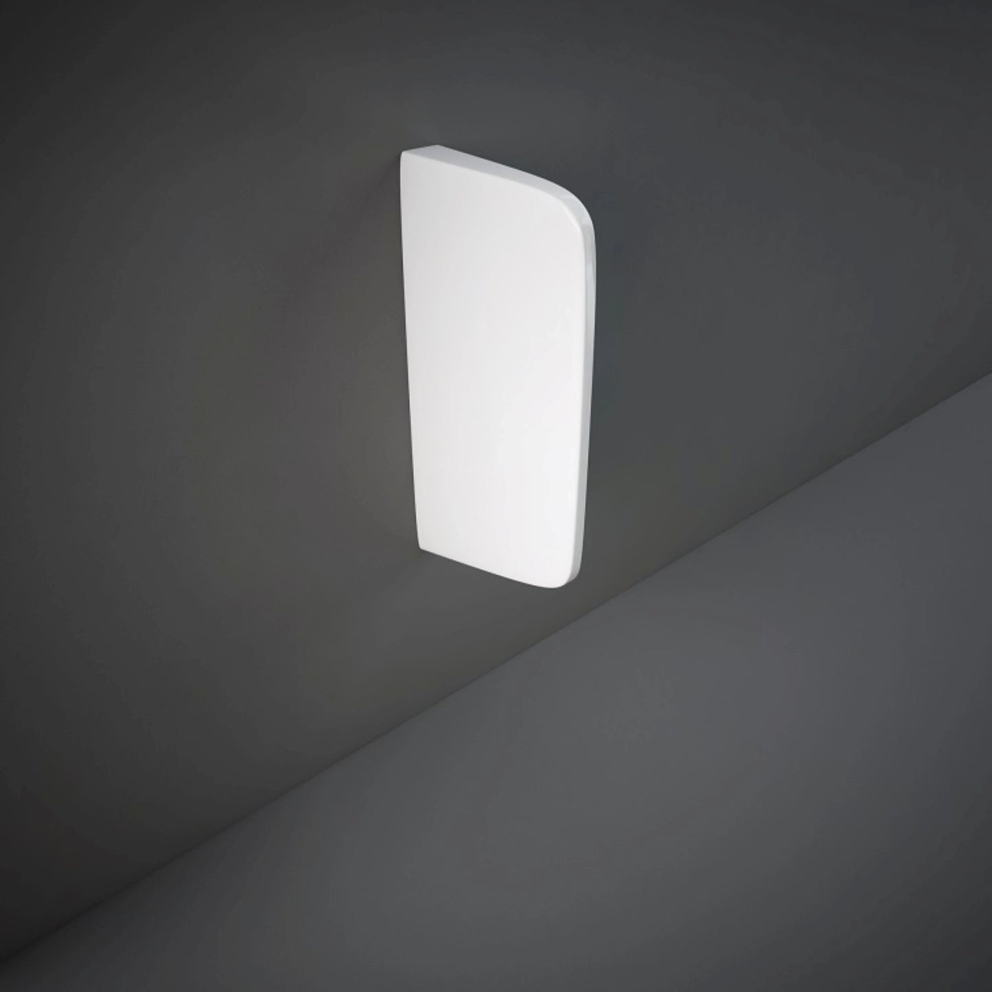 RAK-Series 600 SE20AWHA urinal partition in Alpine White, showing its sleek, rectangular vitreous china profile for wall mounting.
