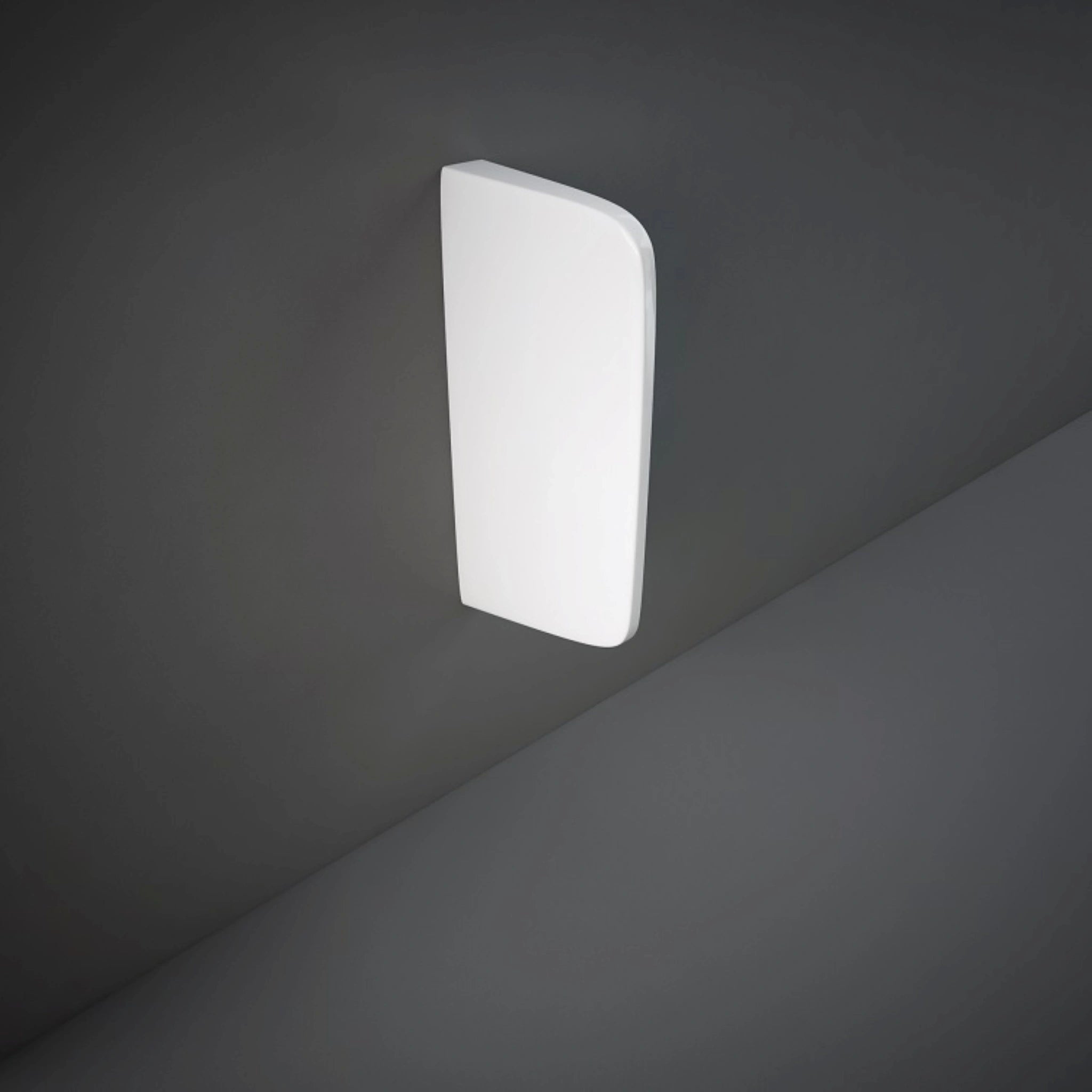 RAK-Series 600 SE20AWHA urinal partition in Alpine White, showing its sleek, rectangular vitreous china profile for wall mounting.