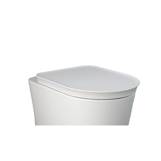 RAK Ceramics RAK-Valet series compact oval matt white urea toilet seat cover, captured from a top-down view to emphasize its sleek and modern profile.