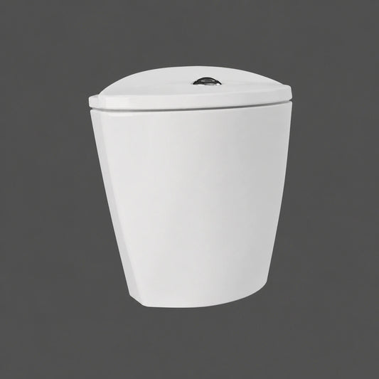 RAK-Venice VN10AWHA close coupled water closet tank in Alpine White finish, showcasing a sleek ceramic design with top dual flush button.